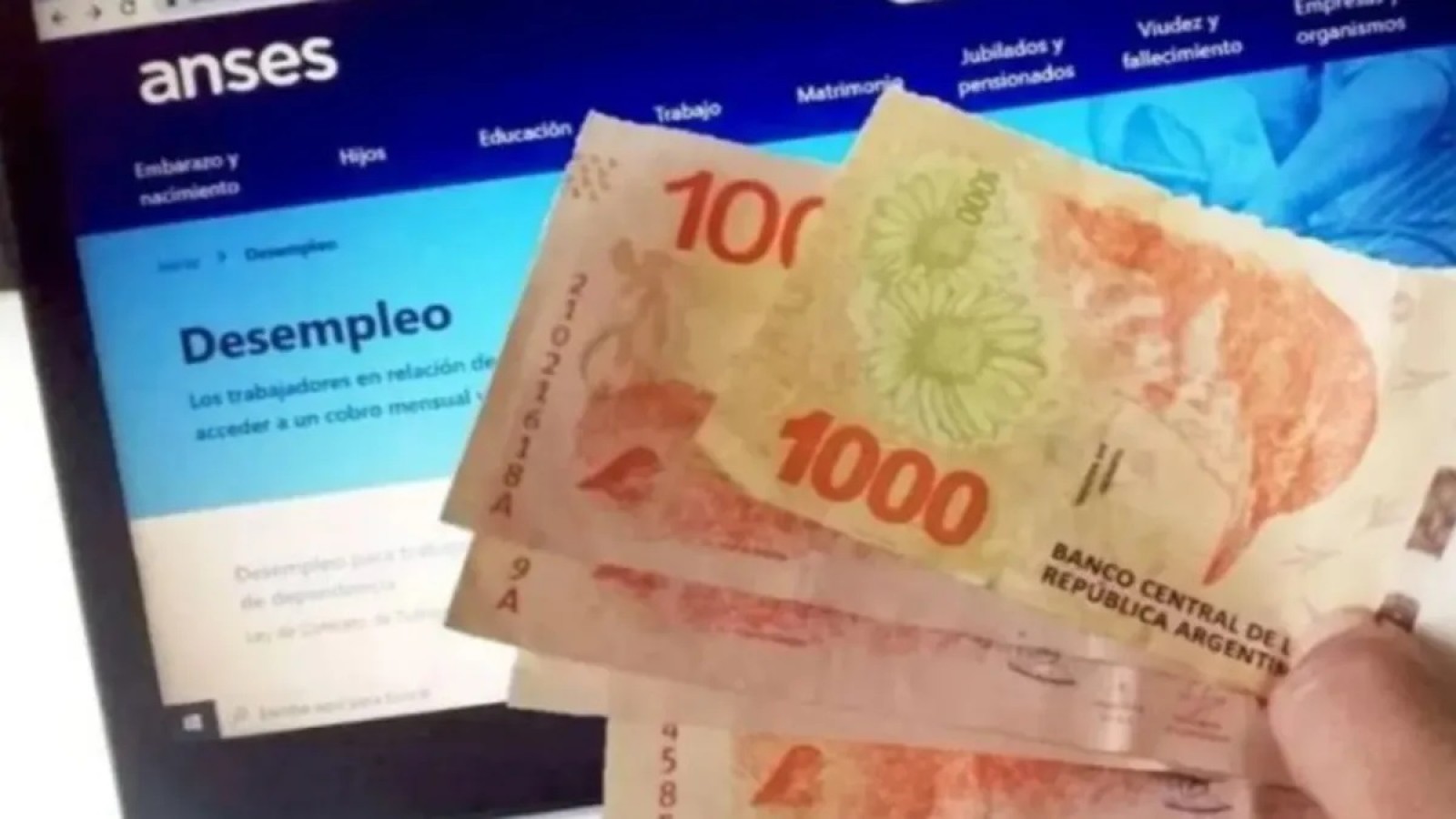 ANSES comienza a pagar $156.000 a personas desempleadas