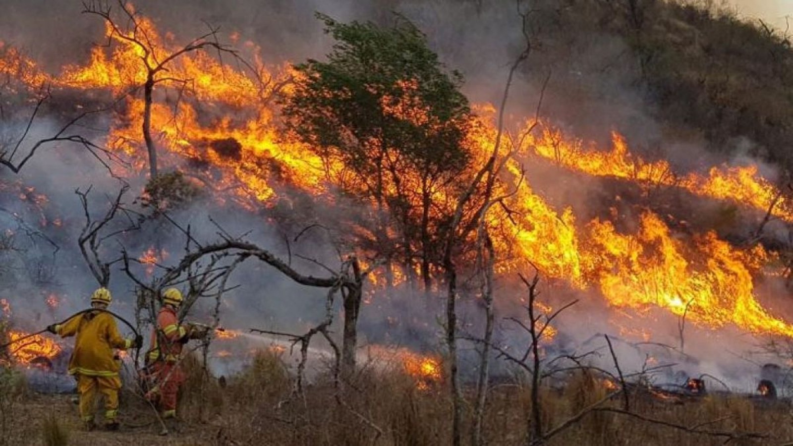 Incendios forestales: reconstruyen la historia de los ocurridos en el sudeste de Mendoza entre 1984 y 2023