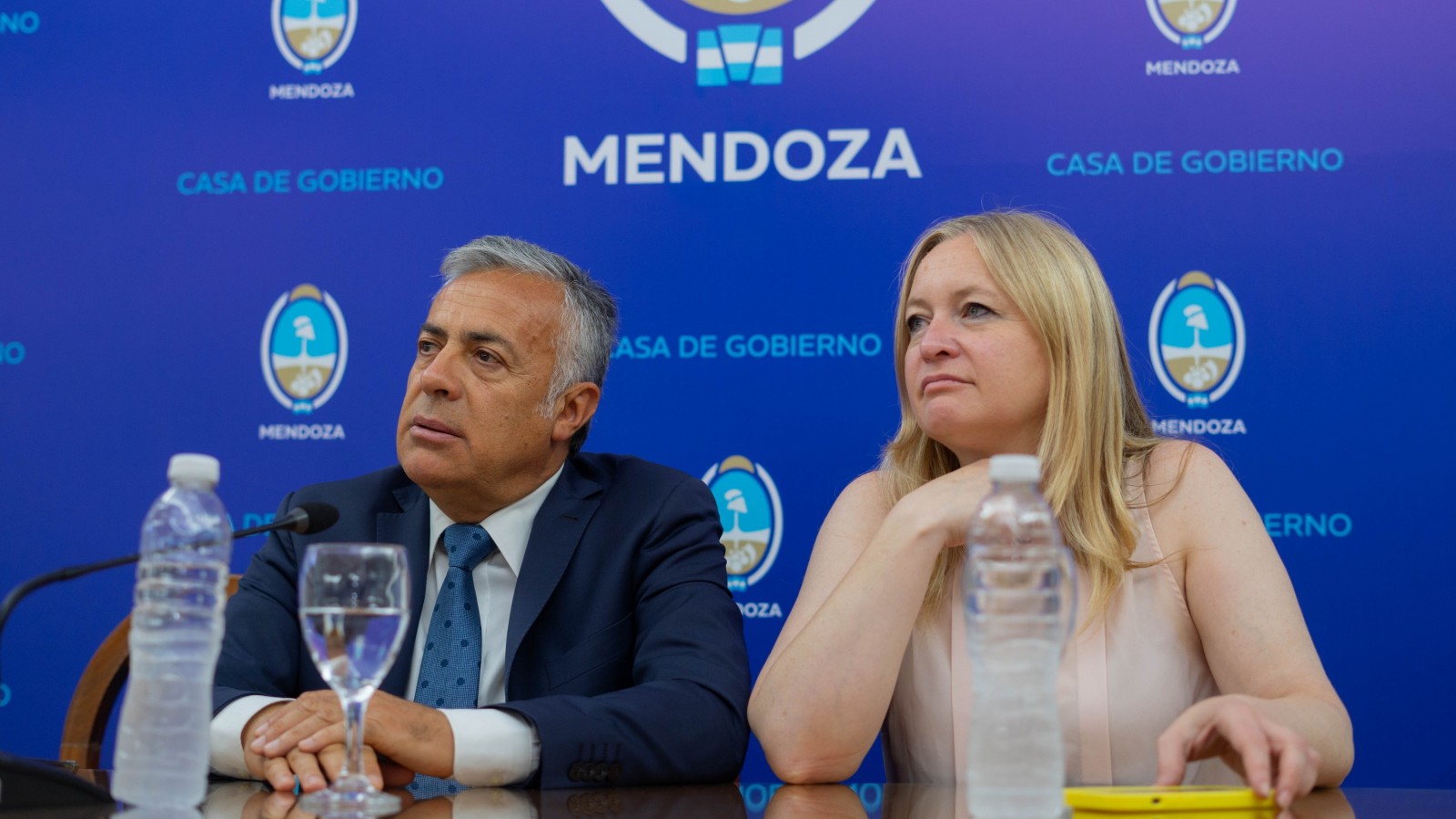 Terapia legislativa para cambios rotundos en políticas de salud pública en Mendoza.