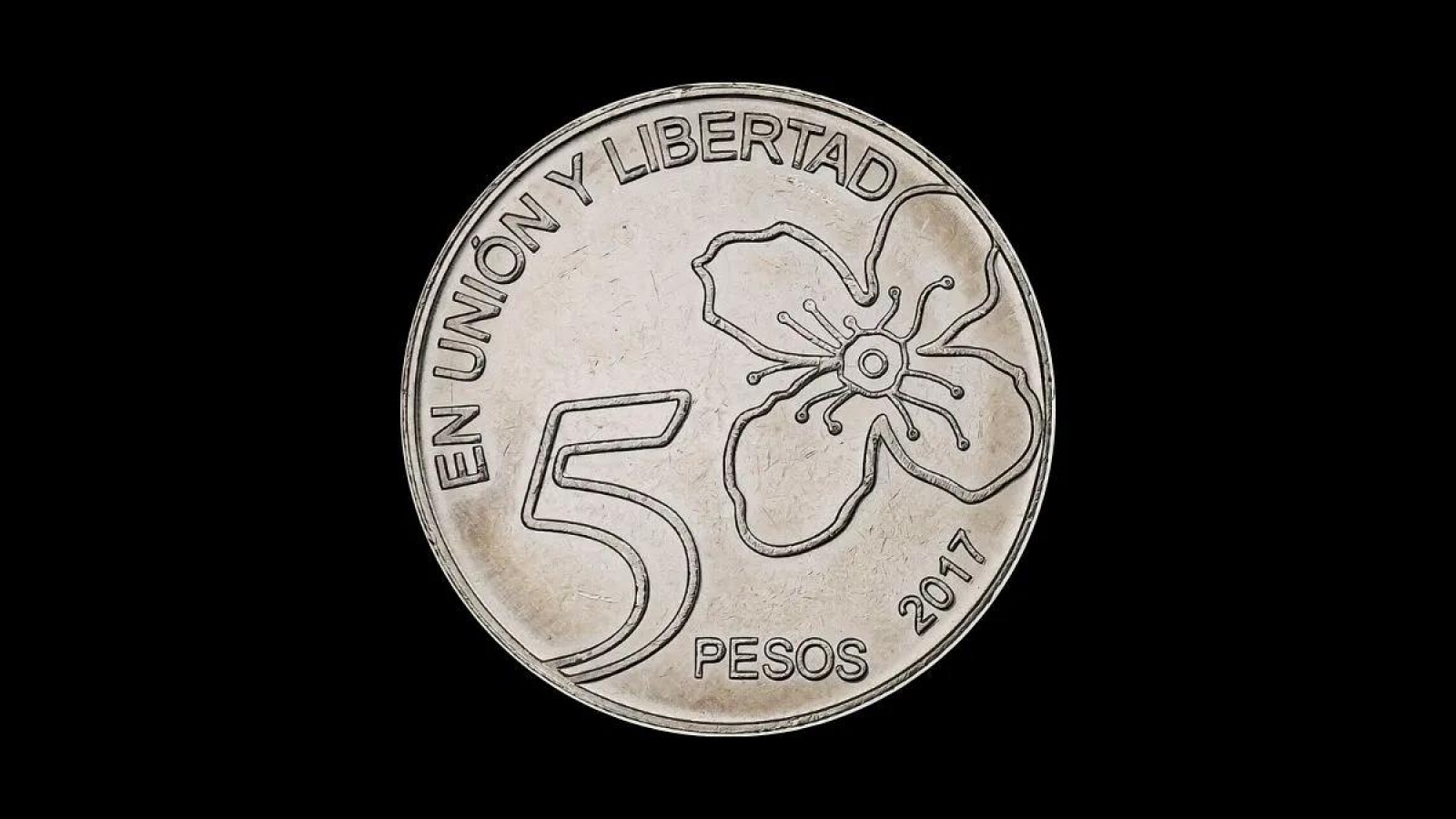 Cómo identificar una moneda de 5 pesos por la que pagan $800.000